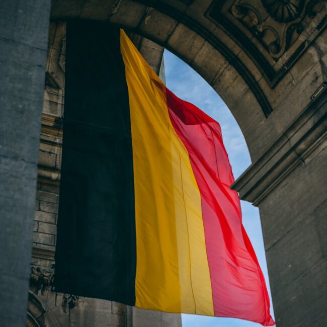 Belgische logistieke sector — vrachtwagens op laadplatform van magazijn